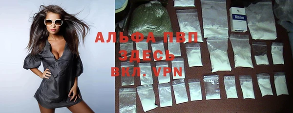индика Вязники