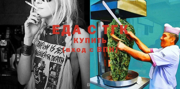индика Вязники