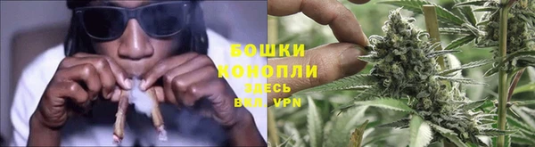 индика Вязники