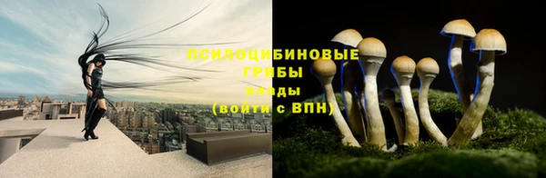 наркотики Вяземский