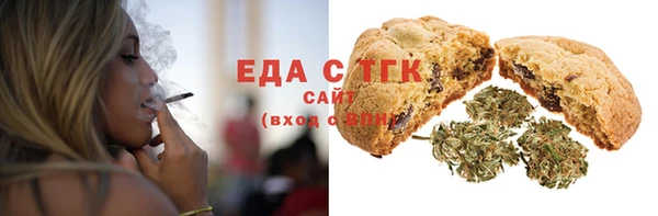 индика Вязники