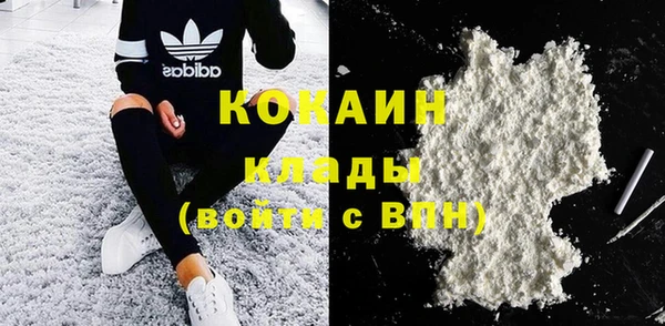 индика Вязники
