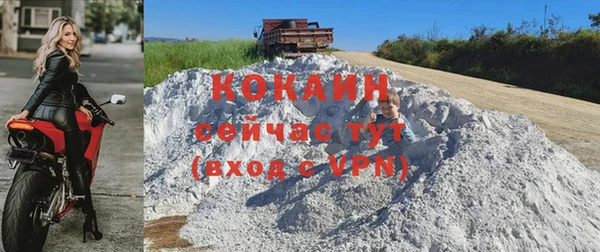 индика Вязники