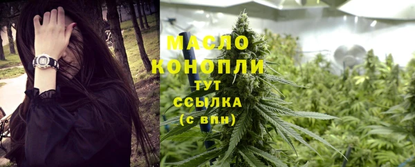 индика Вязники