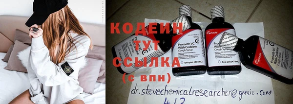 индика Вязники